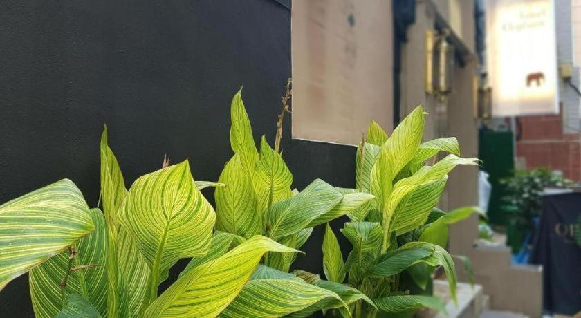 Hotel Elephant Busan Bagian luar foto